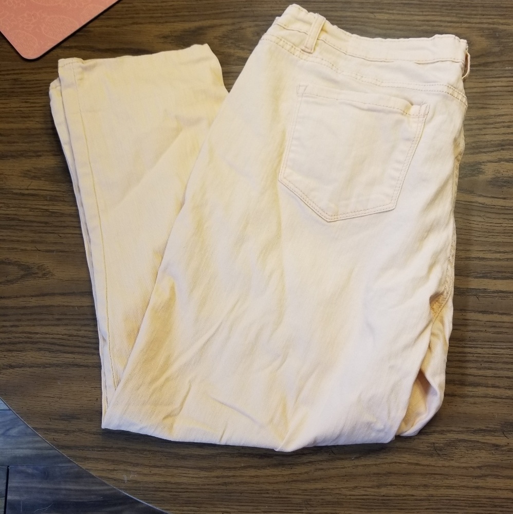 Capri Pants size 16